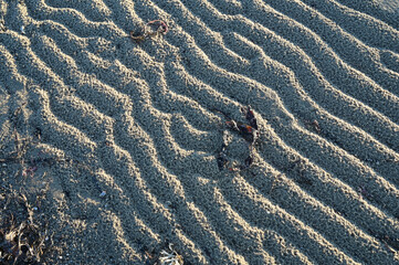 small sand dunes on the beach in the evening sun