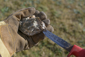 a fresh oyster in a gloved hand is opened by a knife