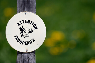 France. Daily life.