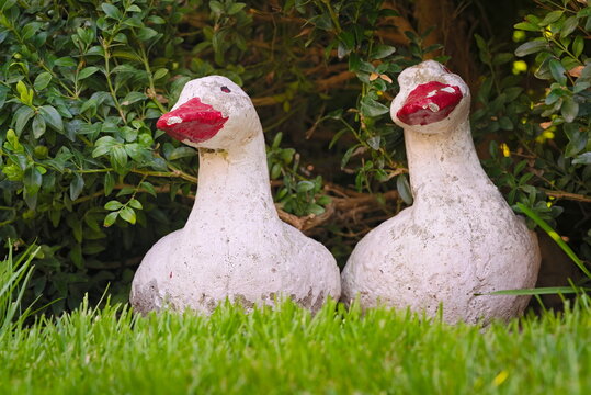 Goose -shaped cement garden decorations