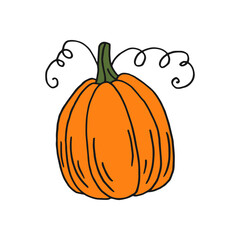 Pumpkin. Flat color icon. Thanksgiving design. Autumn pumpkin.