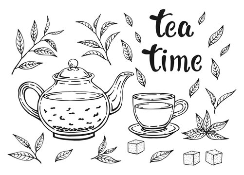 Tea set isolated on white background. Leaves, teapot and cup. Hand drawn vector illustration in outline style.