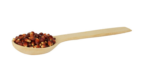 corn seeds in wooden spoon isolated on white background