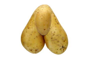 Bizarre potato on transparent background