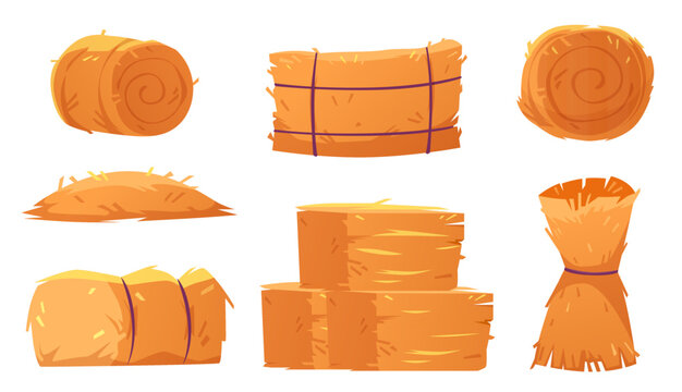 Hay bales, stacks, rolls and piles. Haystacks, dry grass bundles, wheat or rye fodder thatch from farm fields, meadows and pastures isolated on white background, vector cartoon set