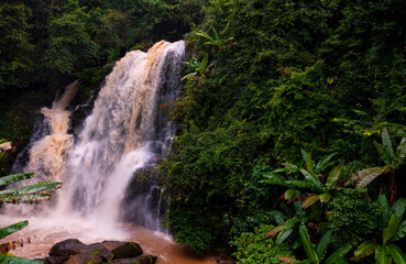 The jungle with a Waterfall-River-rocks-covered-with rainy forest-Waterfall in the forest at park
