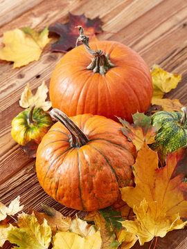 Autumn pumpkin arrangement on a wood background