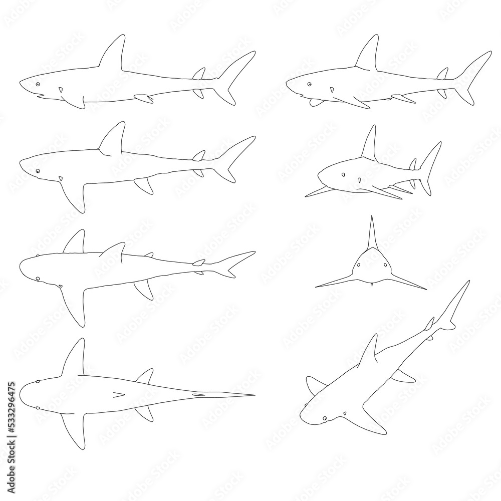 Poster set with contours of a shark in different positions from black lines isolated on a white background.