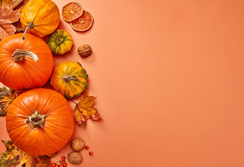 Autumn harvest on orange color