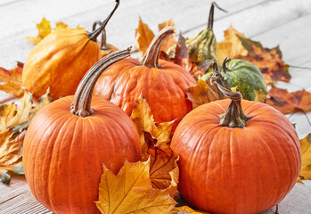 Pumpkins on wooden floor