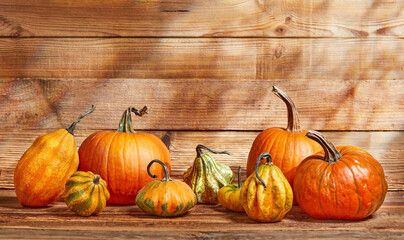 Thanksgiving pumpkins