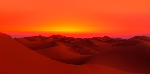 Beautiful sand dunes in the Sahara desert at sunrise - Sahara, Morocco - obrazy, fototapety, plakaty