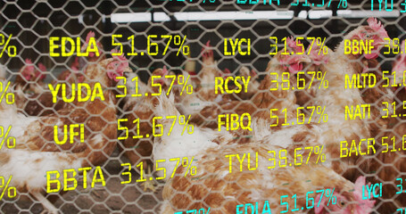Image of financial data processing over chickens at farm