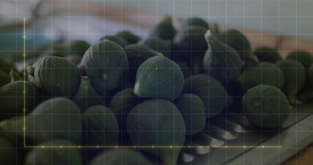 Image of financial data processing over vegetables