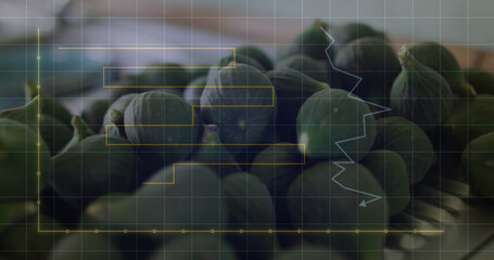 Image of financial data processing over vegetables