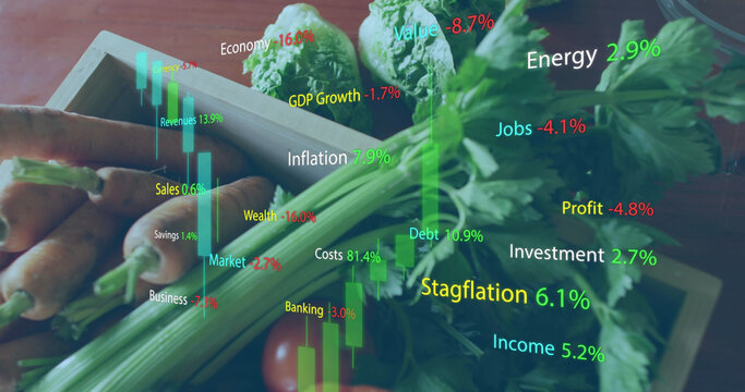 Image of financial data processing over vegetables