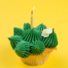cupcake with green cream in the form of a cactus, with a burning candle, on a yellow background, the concept