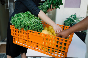 Businesswoman examining fresh vegetables delivered for restaurant