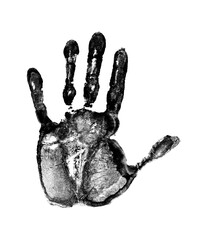 Palmistry - open human palm on transparent background