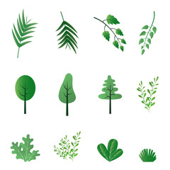 Green leaf design element set isolated on white background.