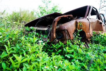 Old rusty abandoned car in overgrown grass