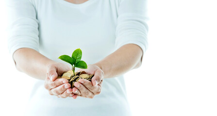 Businesswoman holding little tree  growing from pile of coins