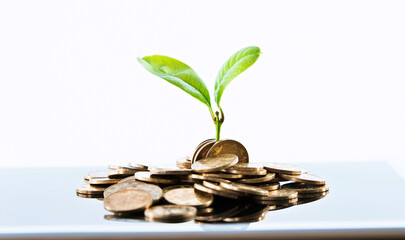 New plant growing on stack of coins
