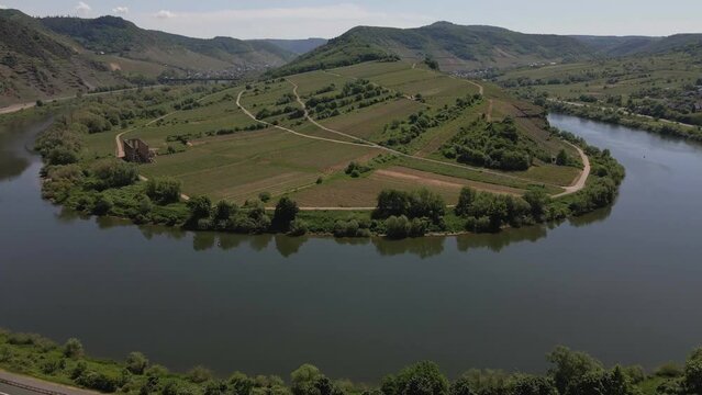 Ascending Aerial Shot Of The Bremm Moselle Loop And Vineyards
