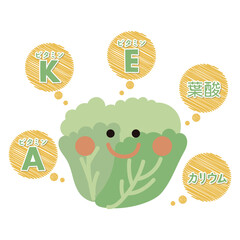 レタスの栄養素