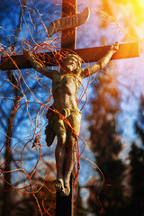 Holy cross with crucified Jesus Christ. Very ancient statue in ivy.