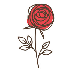 Hand drawn roses illustration