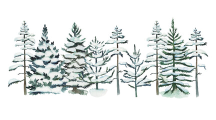 Obraz premium Watercolor snowy pine trees and firs illustration, winter forest hand drawn isolated illustration