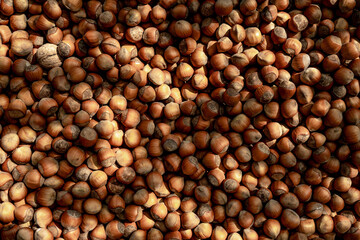 Photo of a hazelnut. Hazelnut background. Texture of nuts