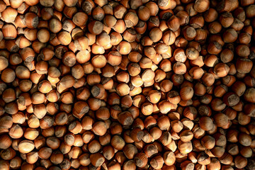 Photo of a hazelnut. Hazelnut background. Texture of nuts