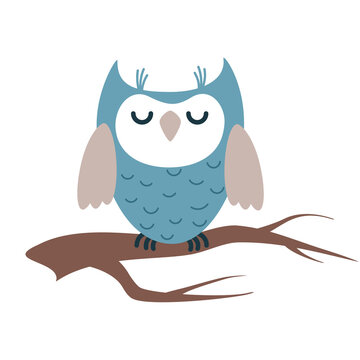 owl with a branch