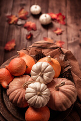 Autumn still life with assorted pumpkins on wooden surface in vintage style