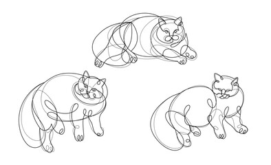 Nice cute cat linear vector illustrations set, line art drawings of pussycat relaxing, artistic outline minimal sketch of fat and lazy cats.
