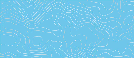 The stylized colorful wavy abstract topographic map contour, lines Pattern background. Topographic map and landscape terrain texture grid. Wavy banner and color geometric form.