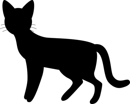 Isolated black silhouette of standing cat on white background. Flat cartoon cat pose.