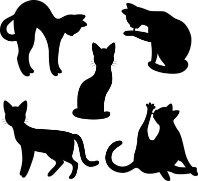 Set of silhouette of cats. Isolated black silhouette of standing, sitting, washing, playing cat on white background.