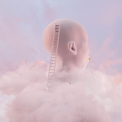 3D illustration of Women's Head in The Clouds. Man climbing ladder between clouds in the sky.