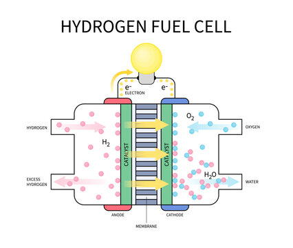Fuel Cell Stack Images Browse 590 Stock Photos Vectors and Video
