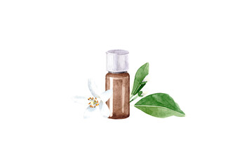 Watercolor illustration with essential oil of Neroli. Hand drawn  bottle of essential oil with white orange tree flowers and leaves on a transparent background. Herbal medicine and aroma therapy.