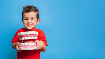A smiling boy with healthy teeth holds a large jaw in his hands on a blue isolated background. Oral hygiene. Pediatric dentistry. Prosthetics. Rules for brushing teeth. A place for your text.