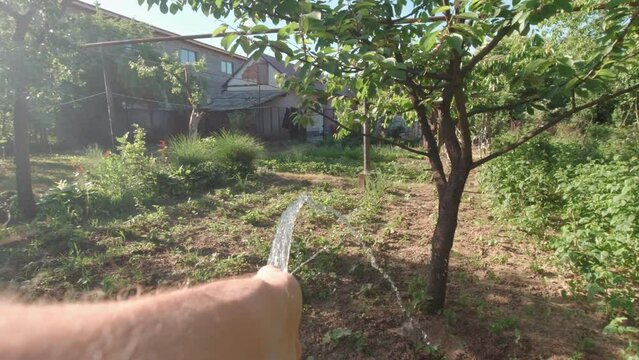 Watering bushes POV slow motion hand closeup