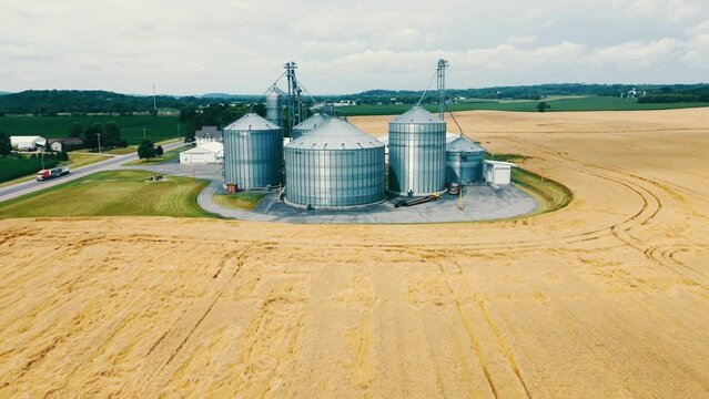 A bird's-eye view of modern granaries in the middle of a ripe golden wheat field. Bunkers for grain in the middle of a wheat field. Metal silos