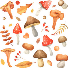 Fototapeta na wymiar Set of watercolor vintage mushrooms isolated on white. Fall harvest forest mushrooms. Natural autumn botanical collection. Vegetarian food
