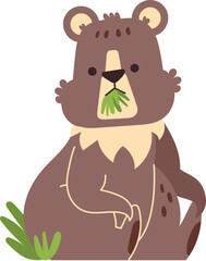 brown bear cute animal
