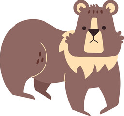 brown bear cute animal
