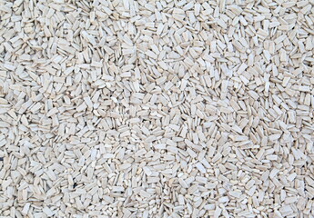 Grain rice as a background